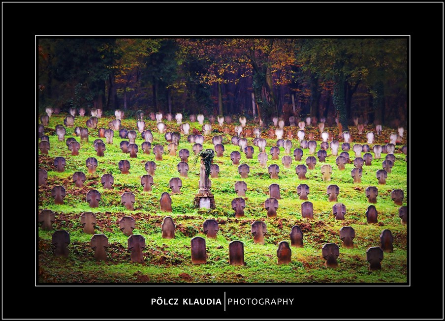 2012.11.02. Hősi temetőben (12)