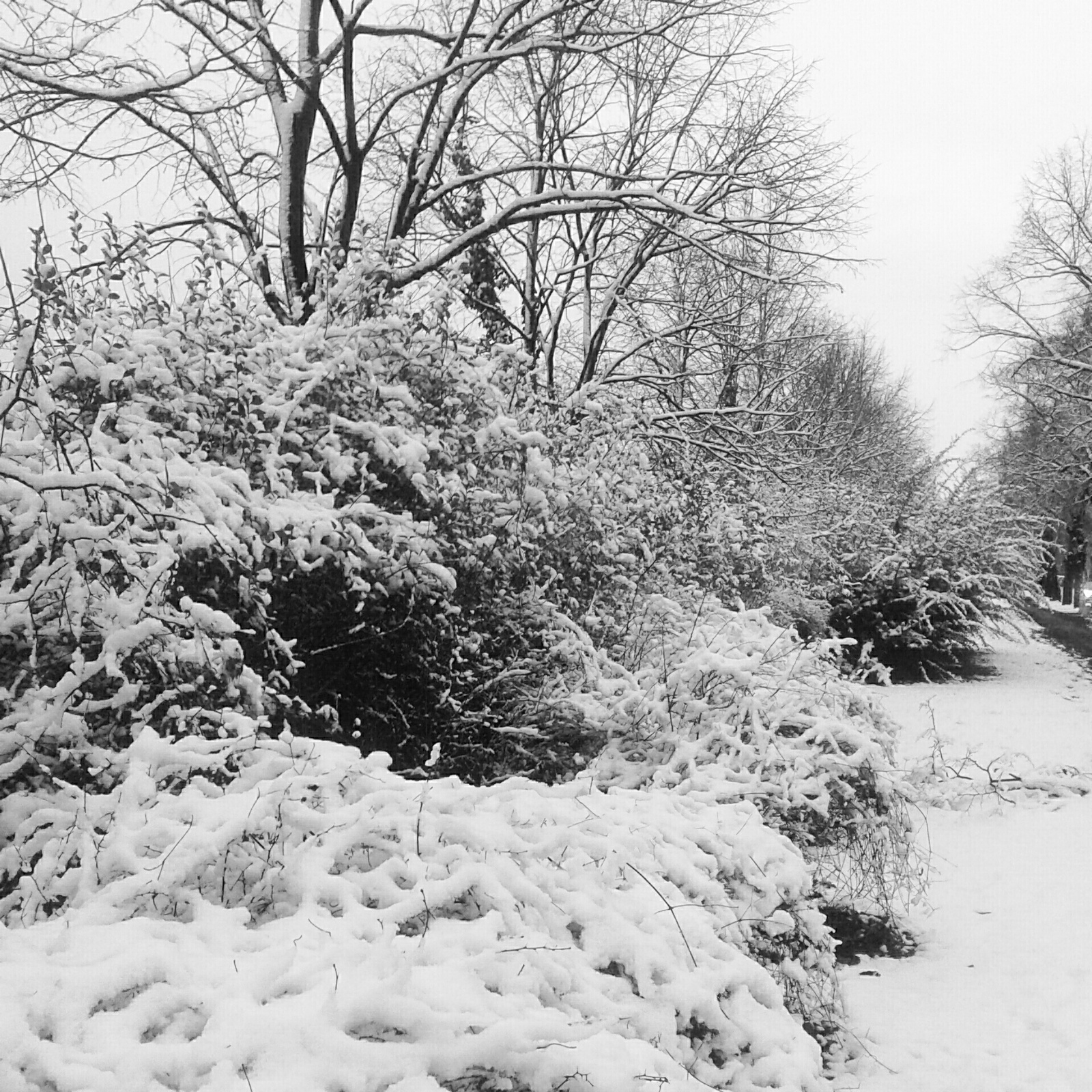 Januári hétfő: Sopron, Béke út