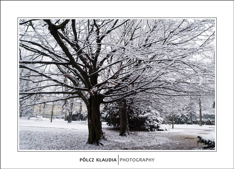 2013.01.08. Havas Erzsébet kert (27)