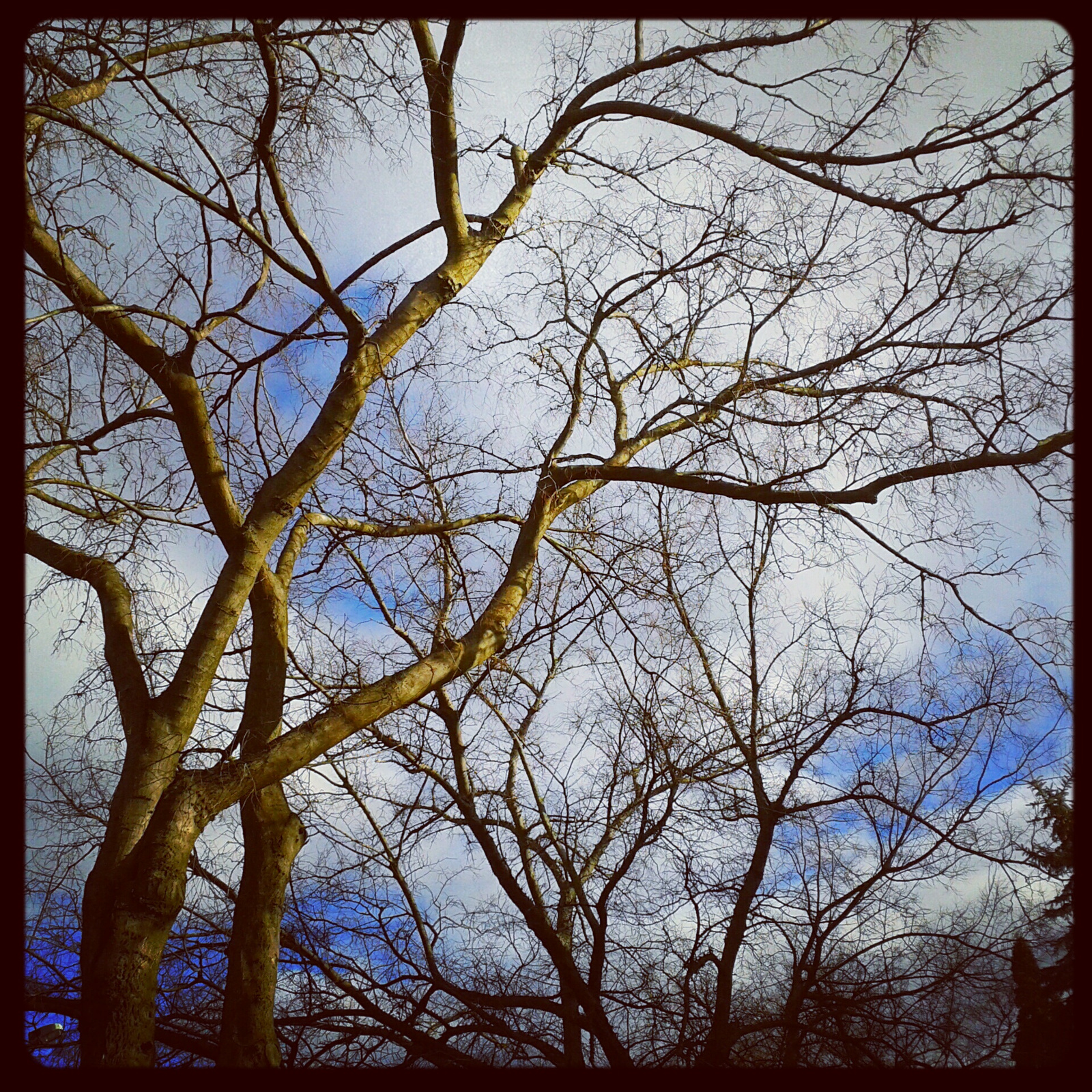 2013.02.01. kék ég - napsütés