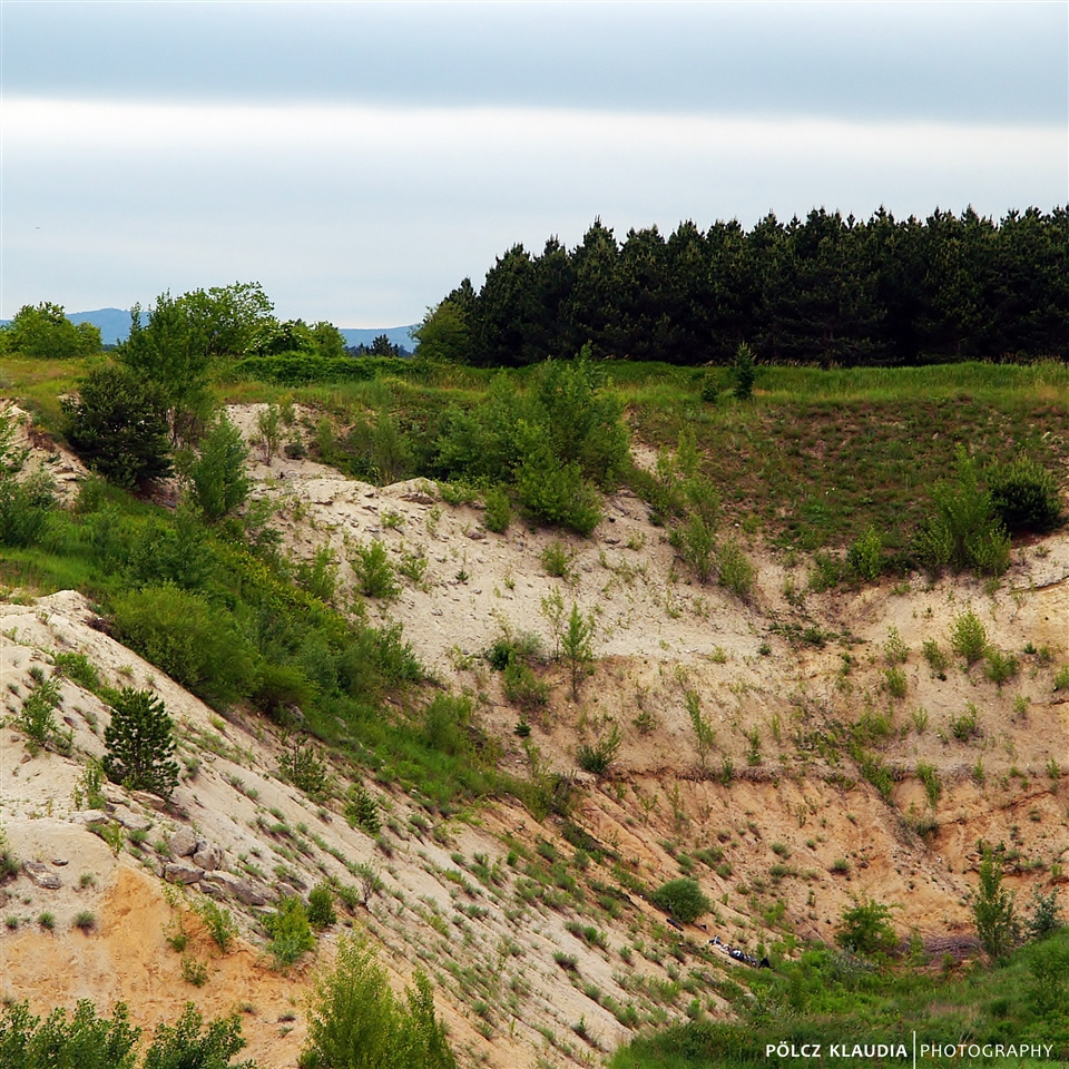 2013.06.04. kedd kavicsbánya (3)