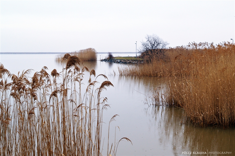 Fertő tó