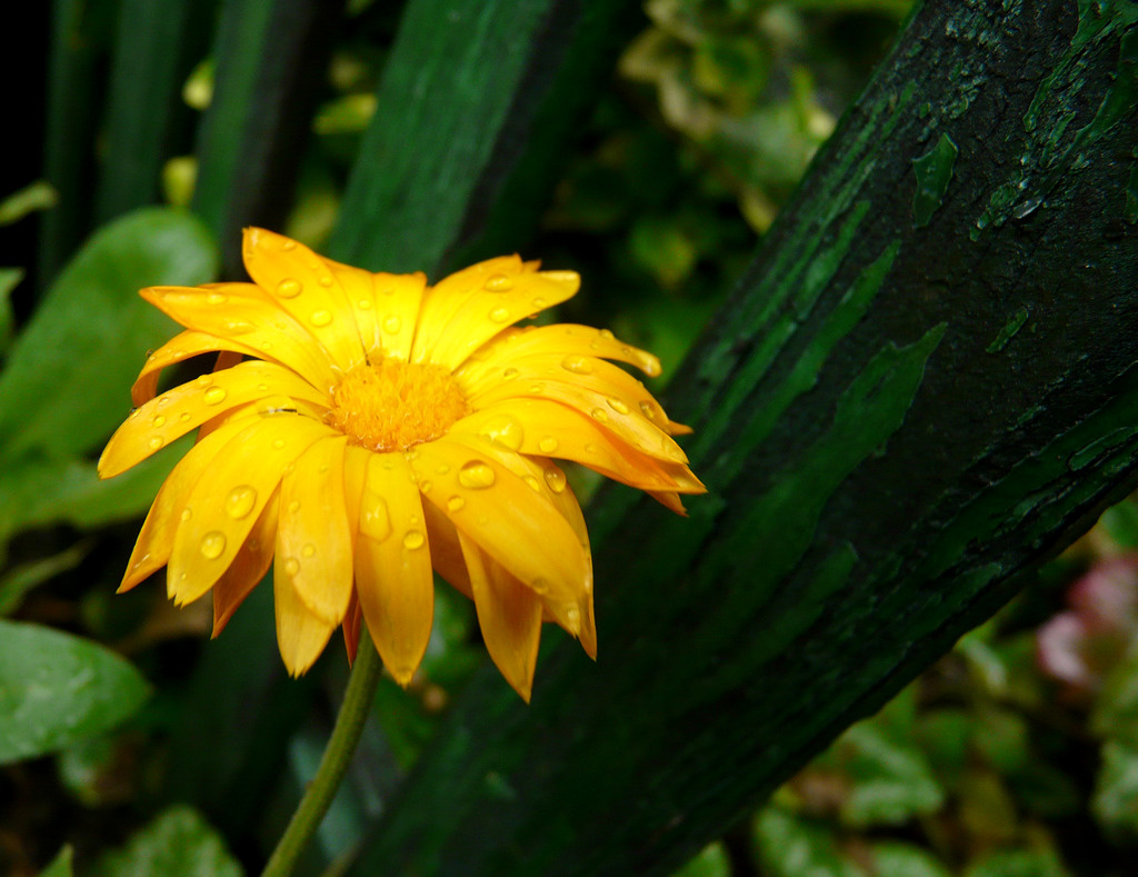 LUMIX-[2008.07.14 09.17.23]09