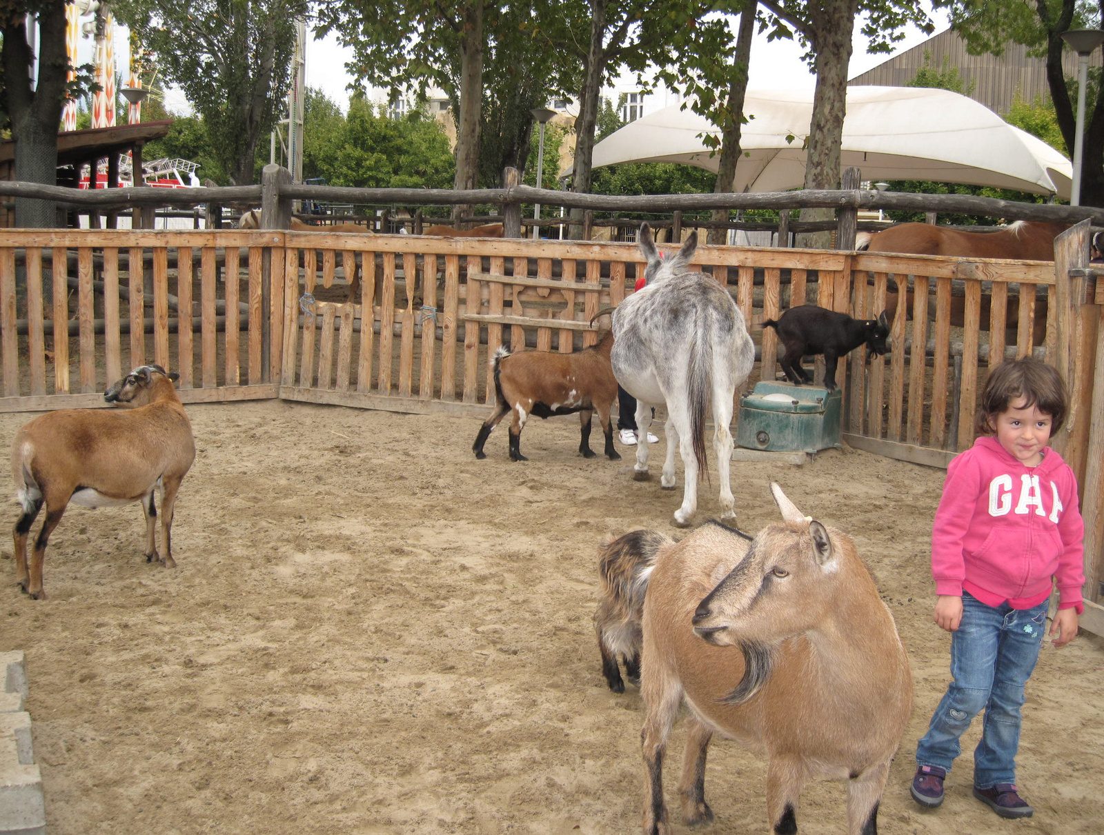 petting zoo next to the budapest circus