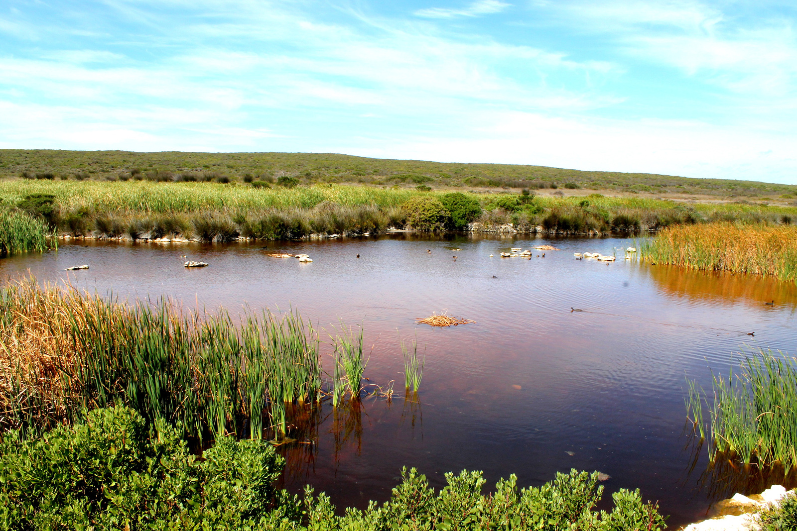 Langebaan 10