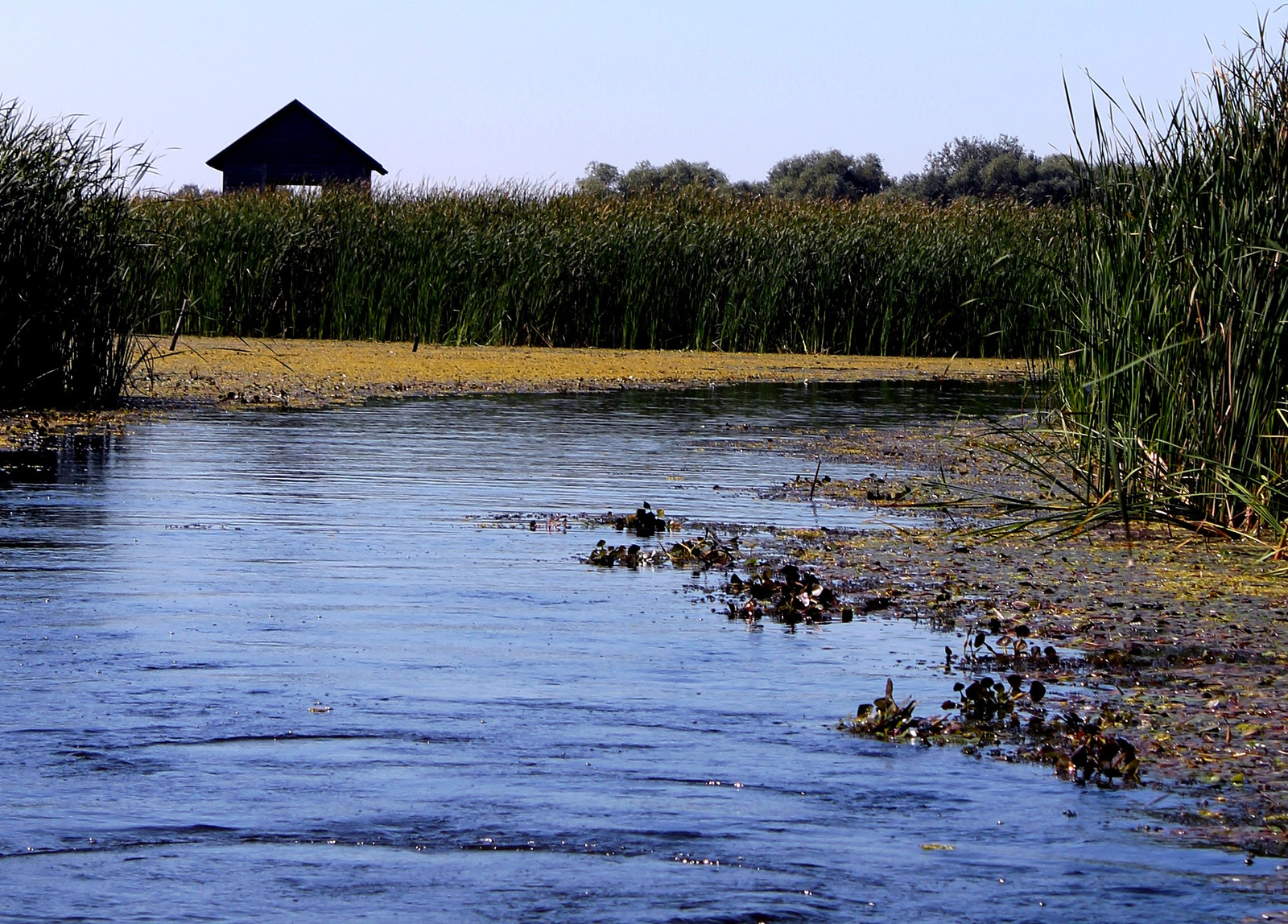 TISZA TAVI OKOCENTRUM 3