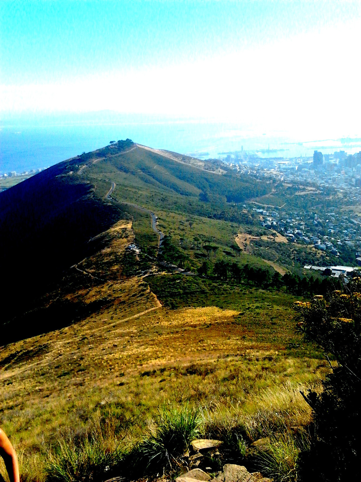 Table Mountain 1