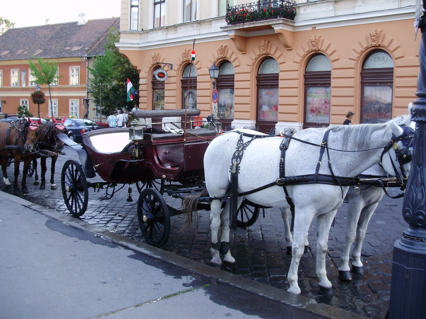 Budapest 2008 08. 313