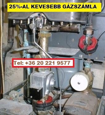 25 szazalek