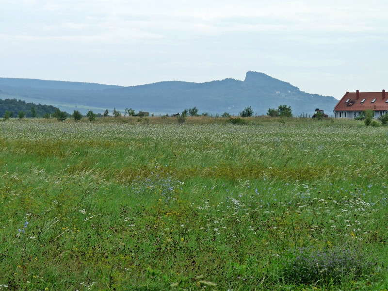 Hegyestü