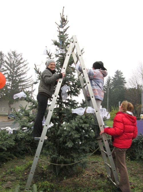 20141129-Advent készülődés 0490