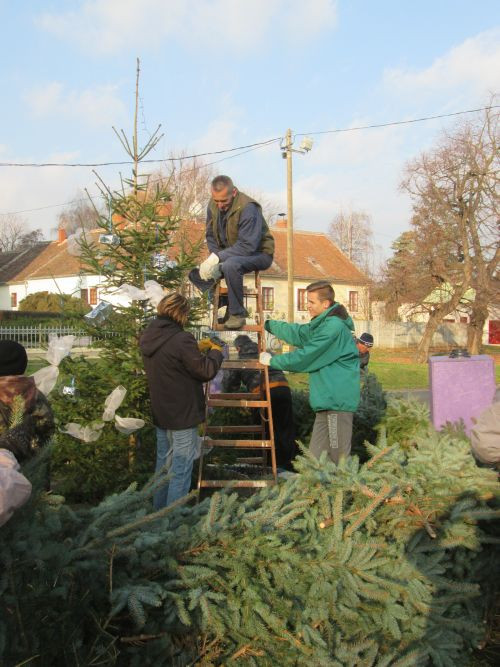 20151128-Adventi készülődés28