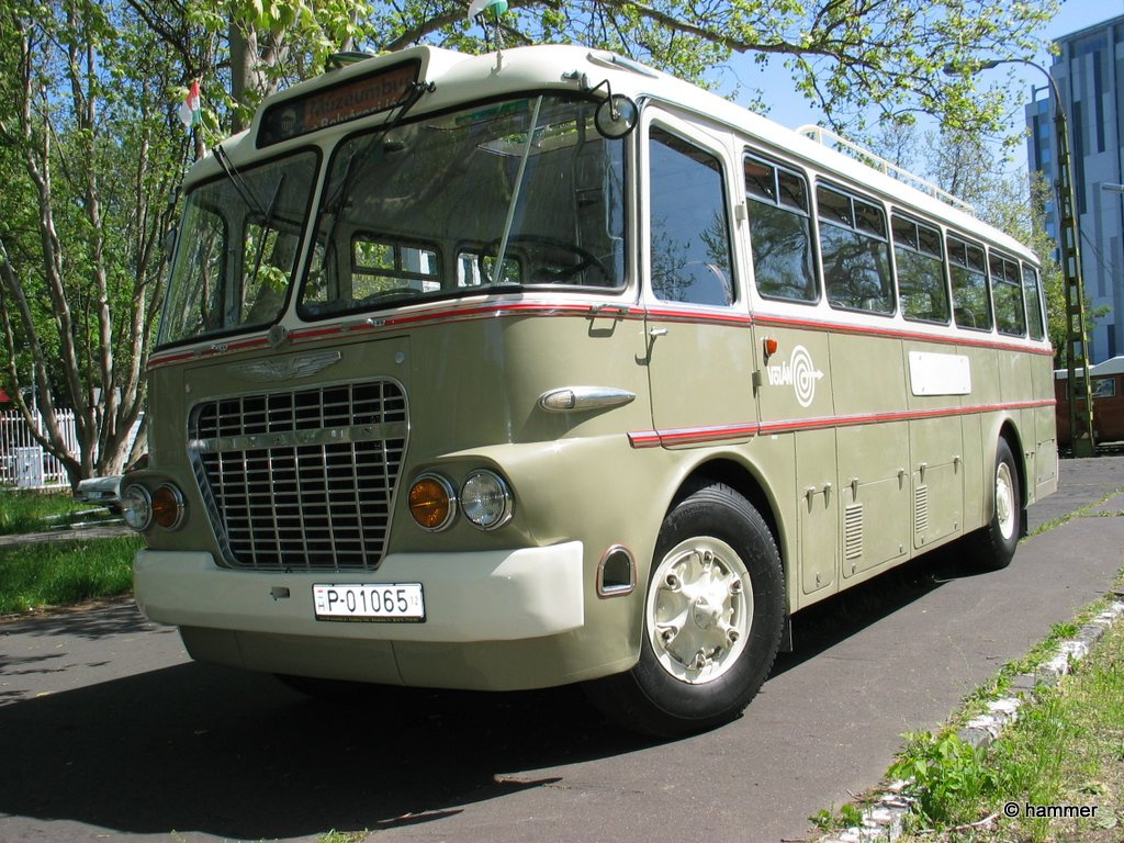 Ikarus