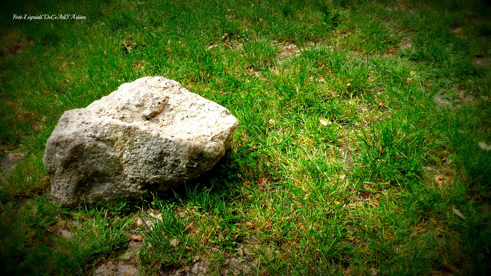 Egy szikla