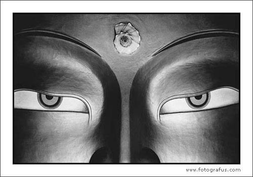 Az eljövendő Buddha II (Thikse, 1997)