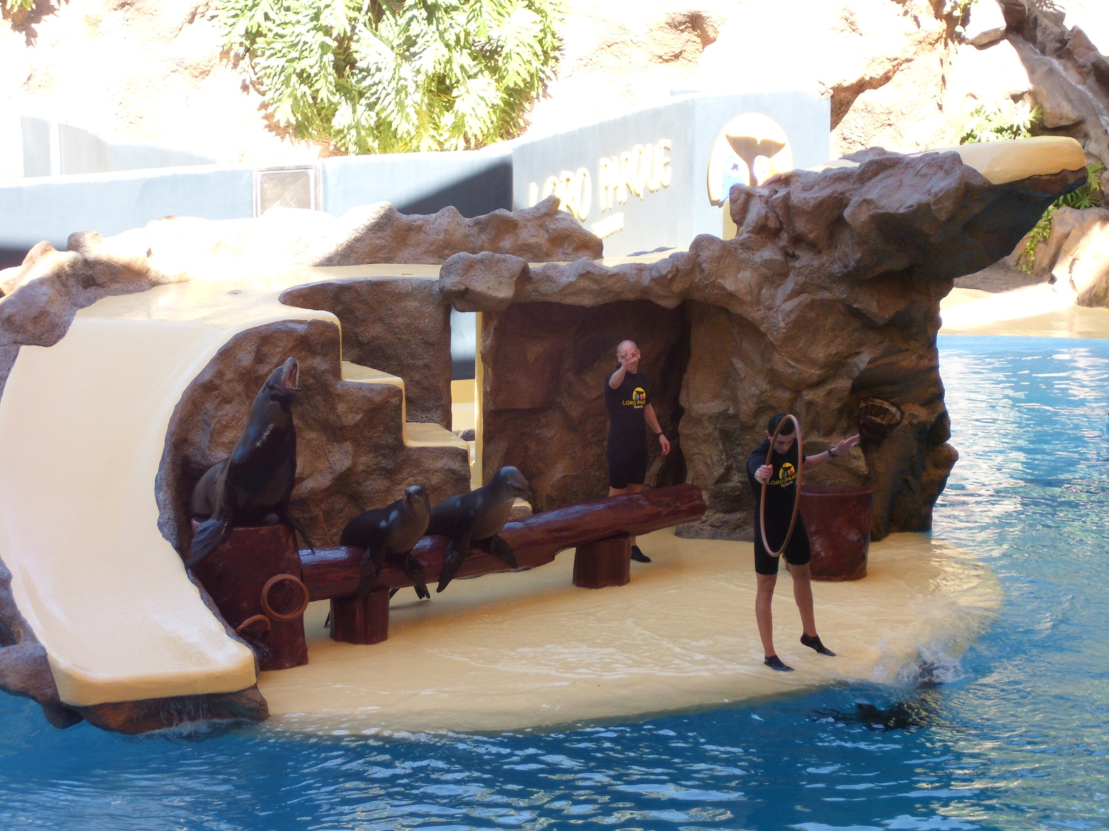 Loro Parque