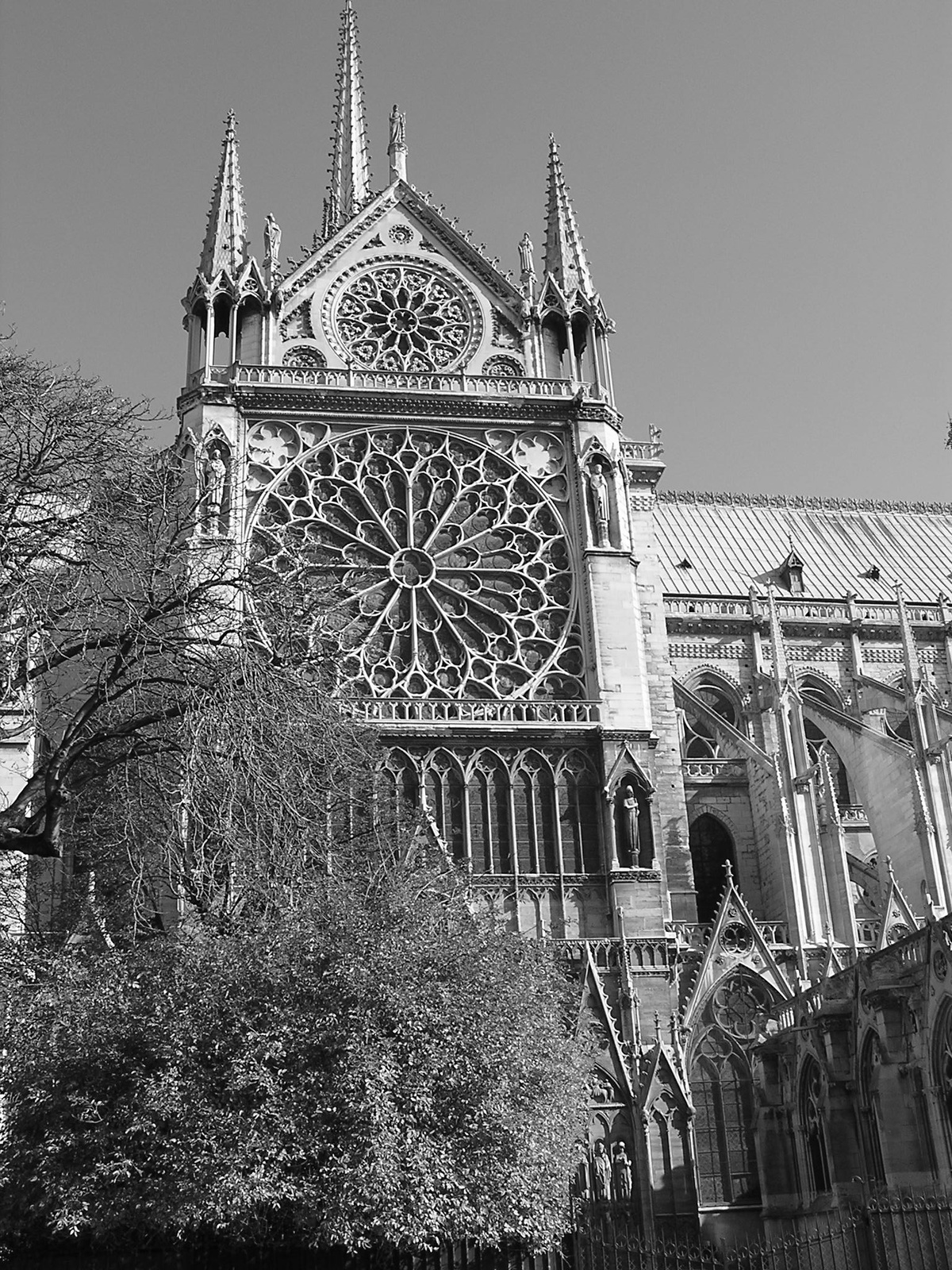 notre dame