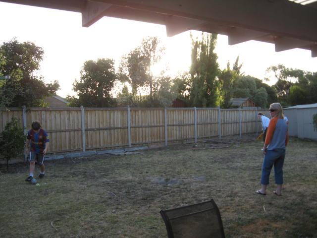 backyard cricket2