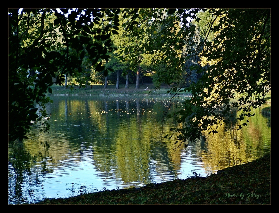 Brunszvik kastély park