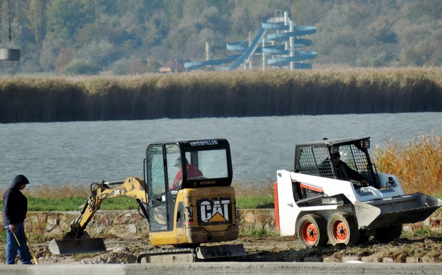 cat,bobcat