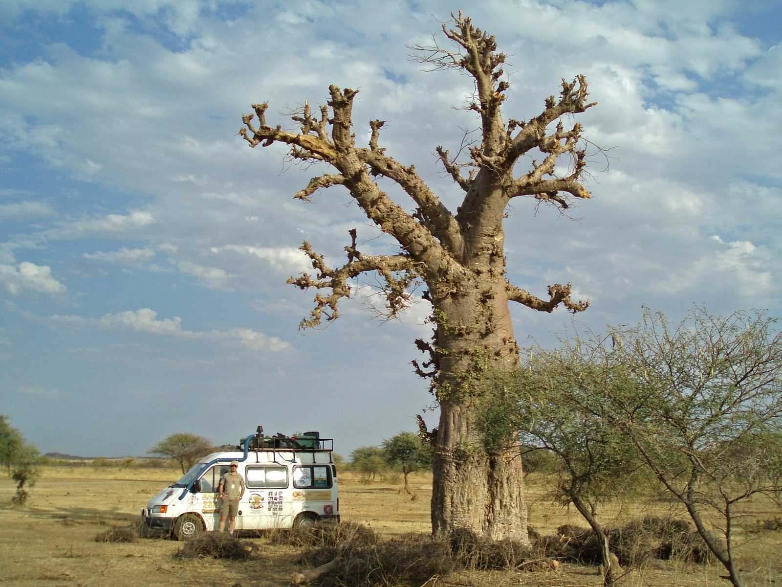 Mali012 - egy baobabfa mellett