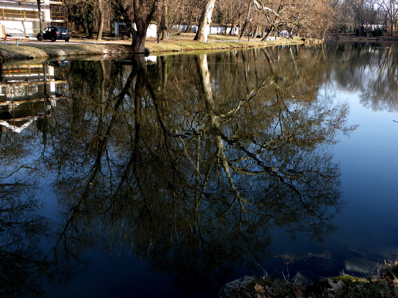 tükör