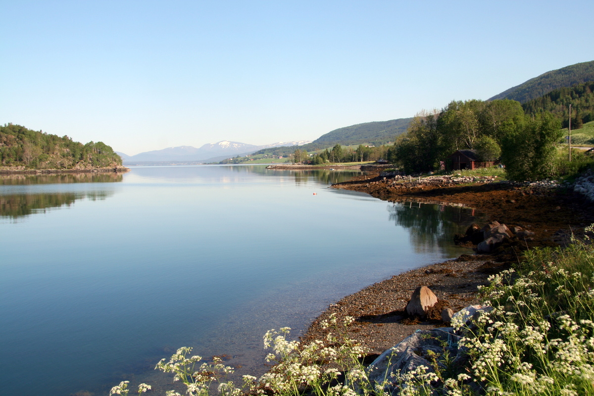 Rødvenfjorden 4