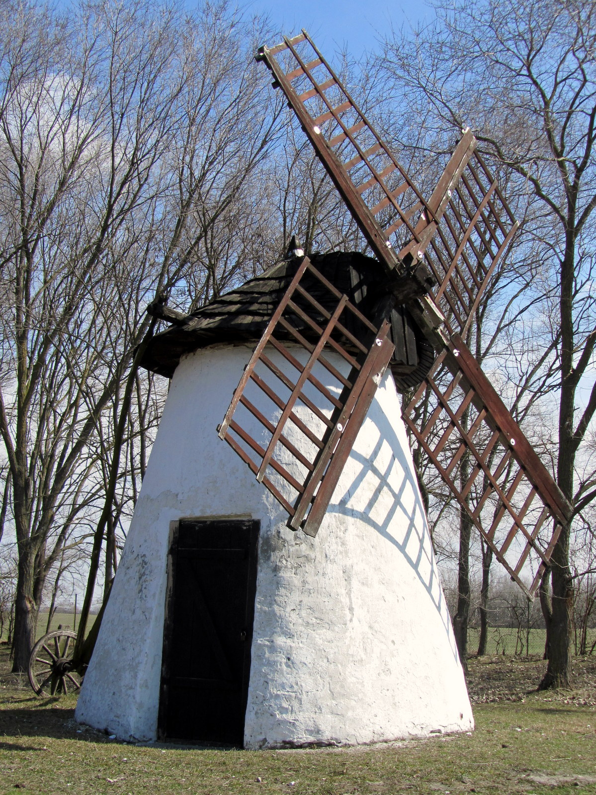 Mindszenti széldaráló.