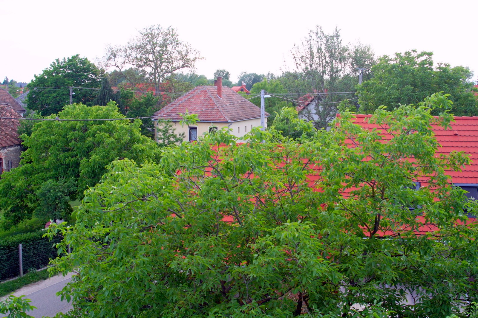 Lombok között