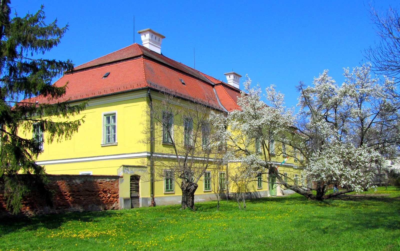 Károlyi palota, Szegvár