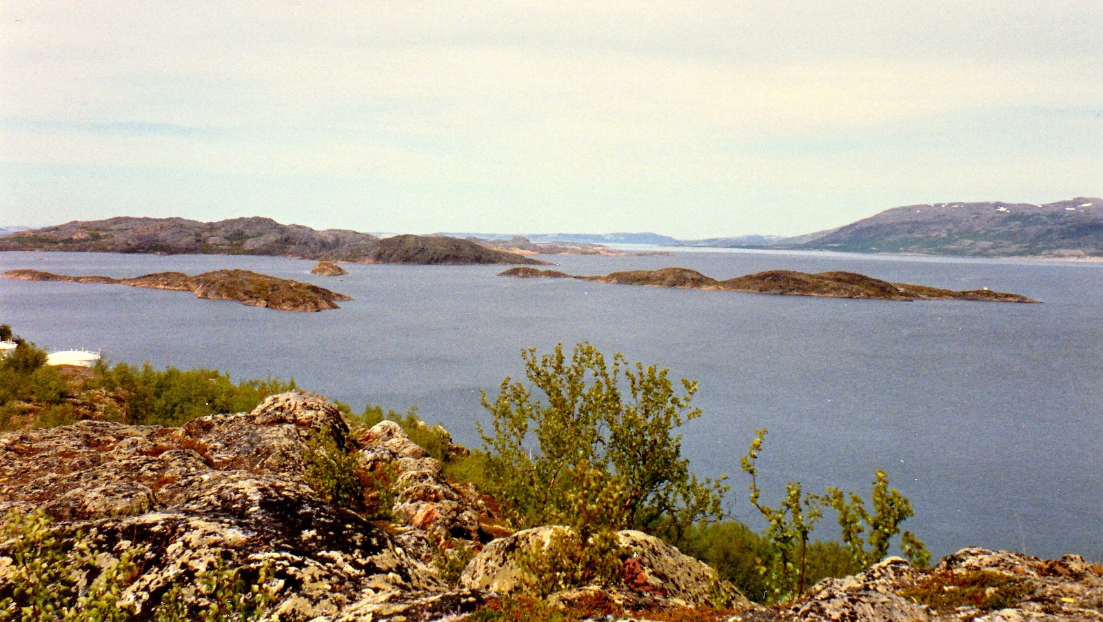 Fjord Lakselv mellett