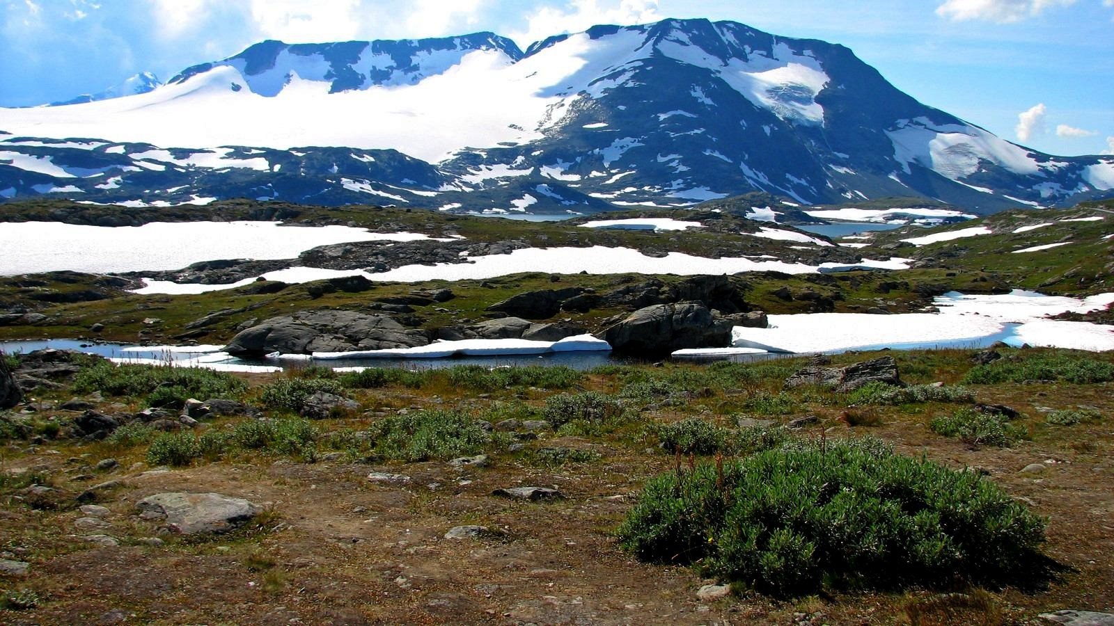 Galdhøpiggen 2469 m.