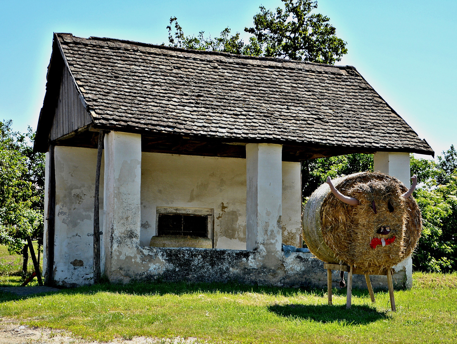 A falu bikája, Mucsfán