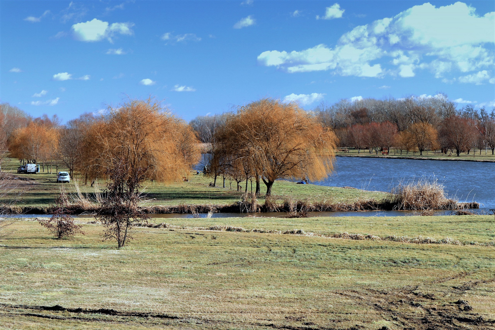 Tiszakécskei-Holt-Tisza