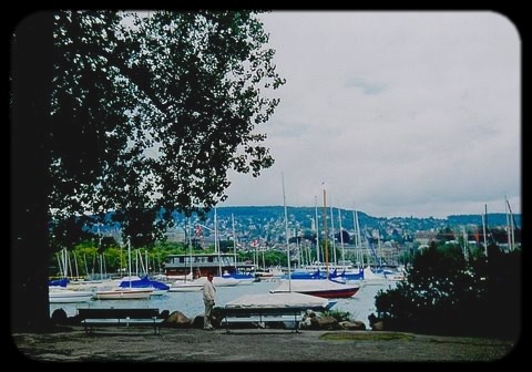 Zürichi-tó csónakkikötő