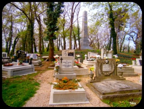 Agárdi temető