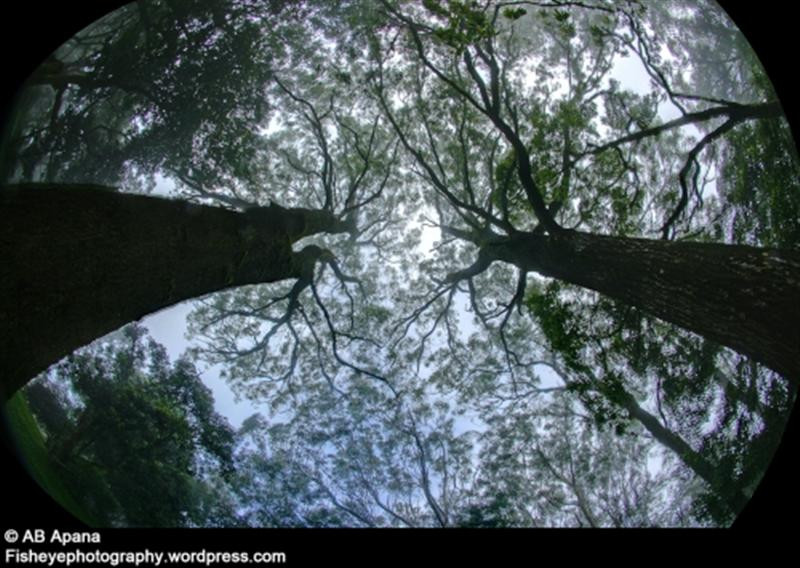 nandi-hills-fisheye-ab-apan (Medium)