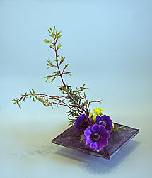 ikebana12x