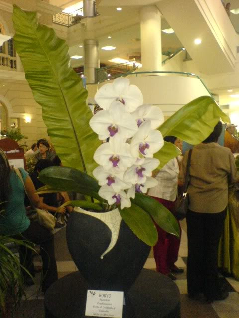 Ikebana 200849