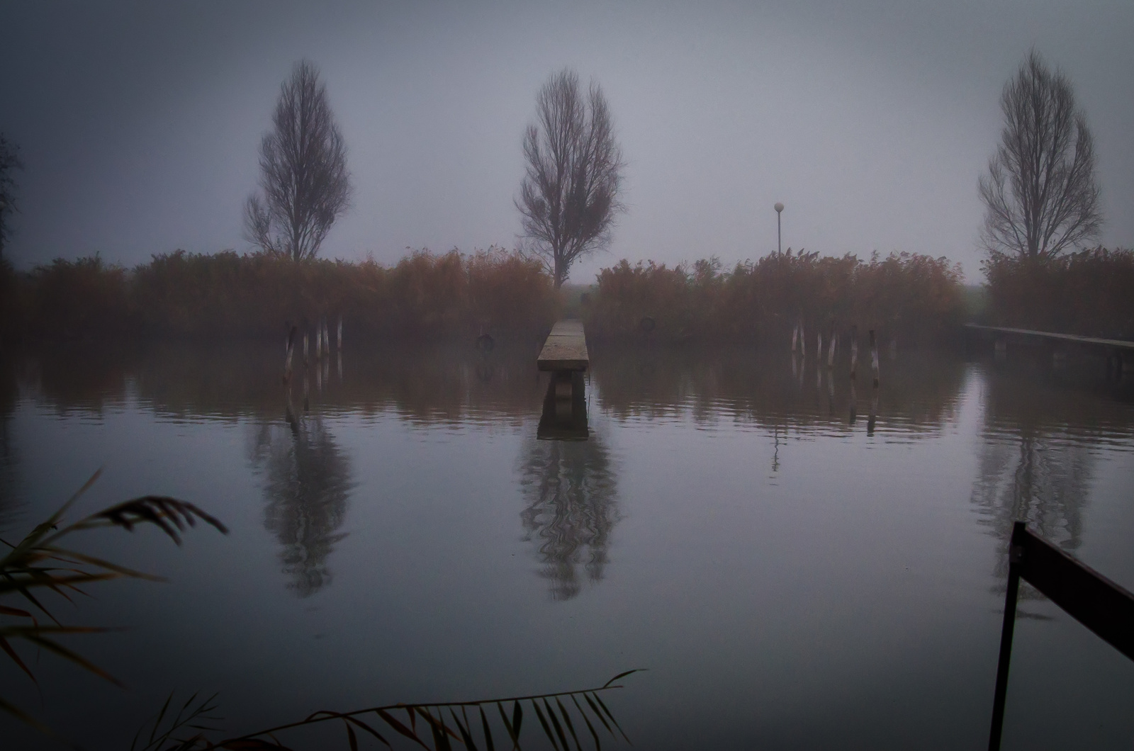 Velencei-tó, hajnal
