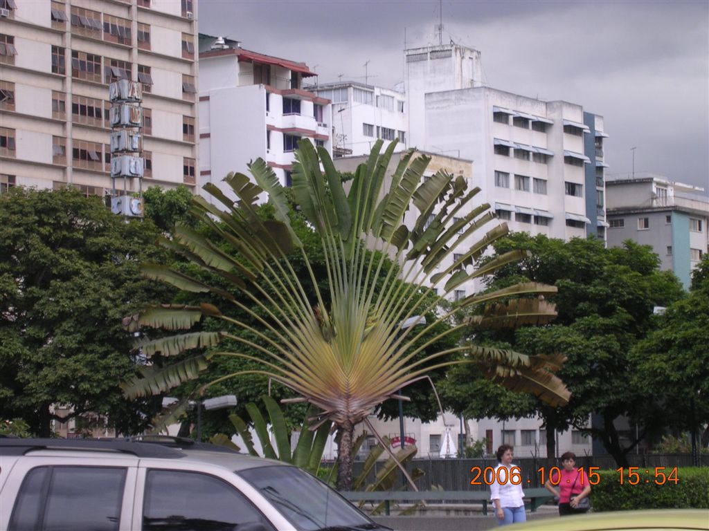 236 Caracas - Plaza Altamira & Holtel La Floresta