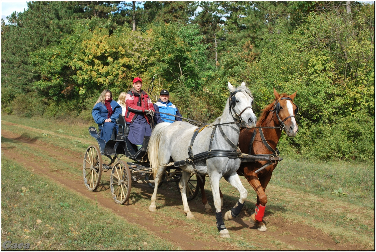 vadaszlovaglaslovasnemesvamosgaca2011fotomagyarorszaghungary0000