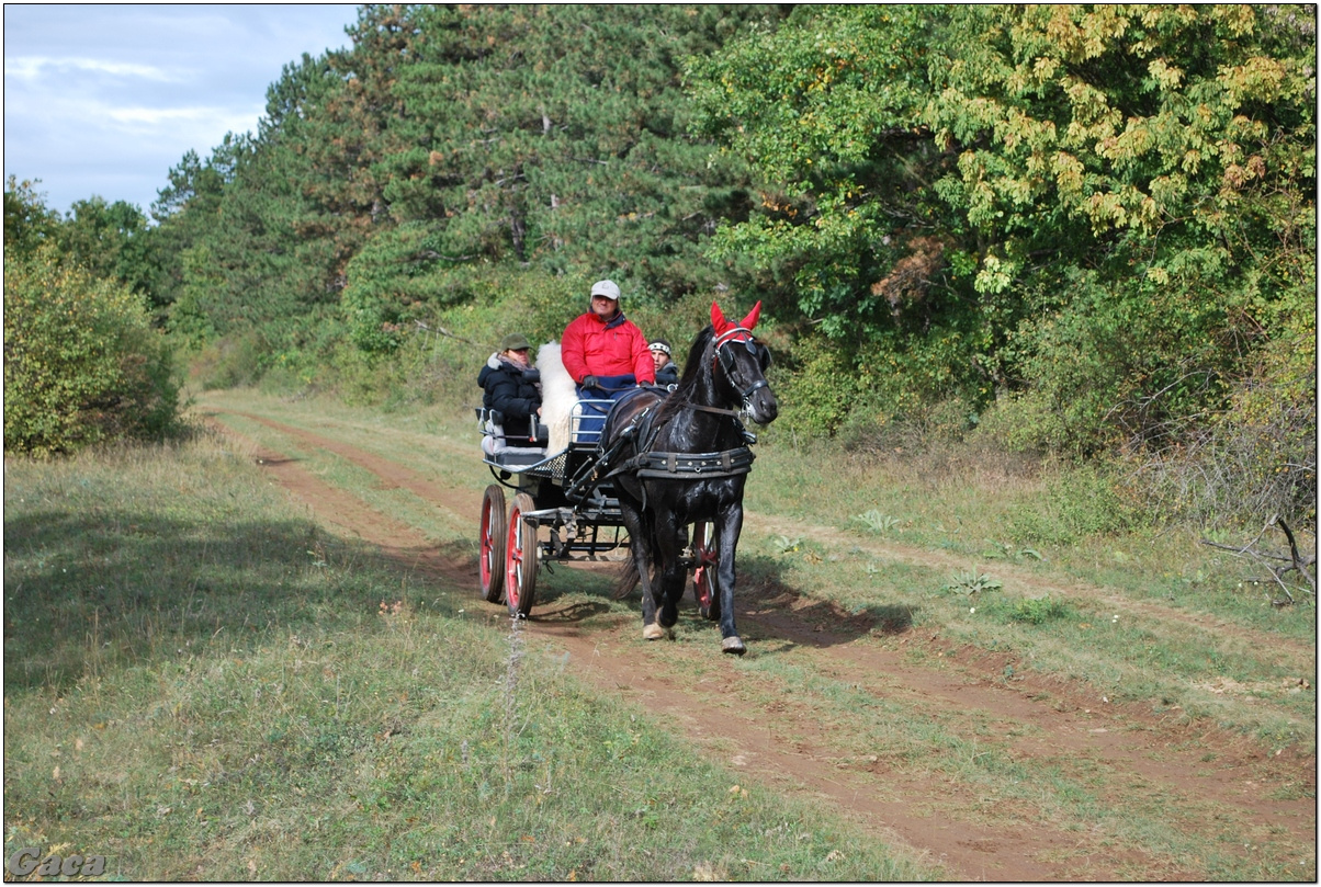 vadaszlovaglaslovasnemesvamosgaca2011fotomagyarorszaghungary0001