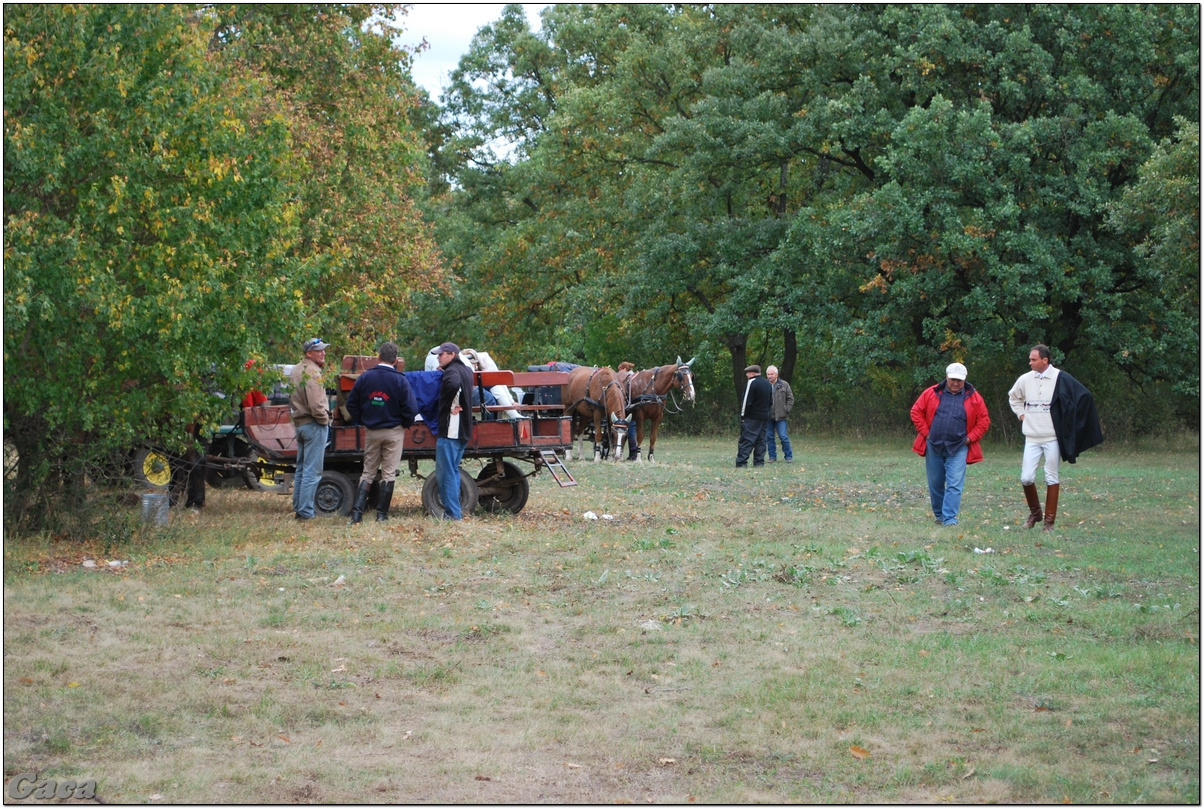 vadaszlovaglaslovasnemesvamosgaca2011fotomagyarorszaghungary0026