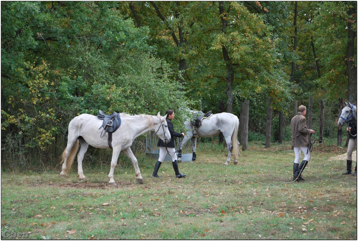 vadaszlovaglaslovasnemesvamosgaca2011fotomagyarorszaghungary0026