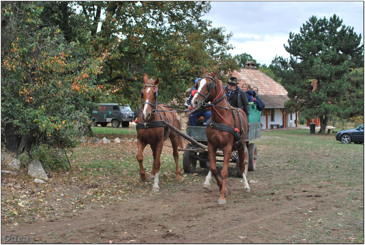 vadaszlovaglaslovasnemesvamosgaca2011fotomagyarorszaghungary0032