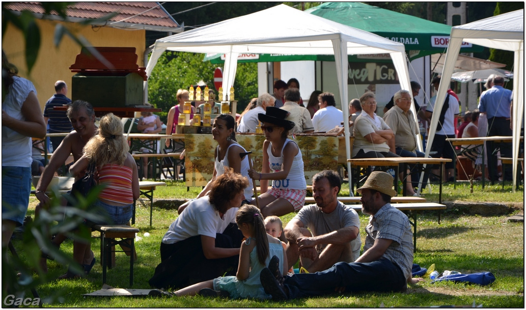 gacafőzőversenynémethbányagaca201300062