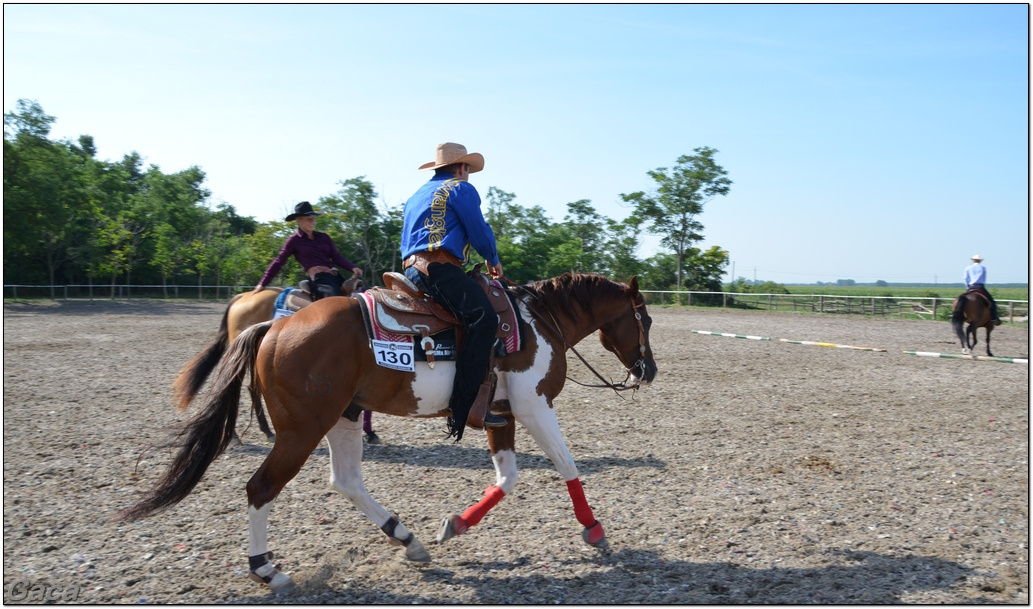 westernlovasversenykunosgaca201300005