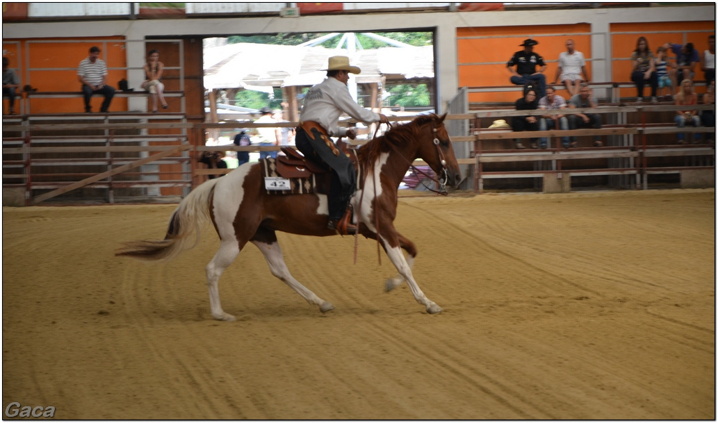 westernlovasversenykunosgaca201300028