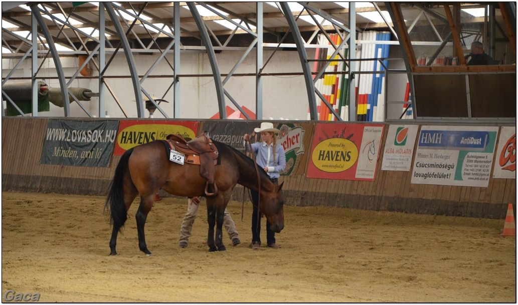 westernlovasversenykunosgaca201300122